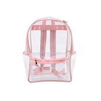 transparent backpack